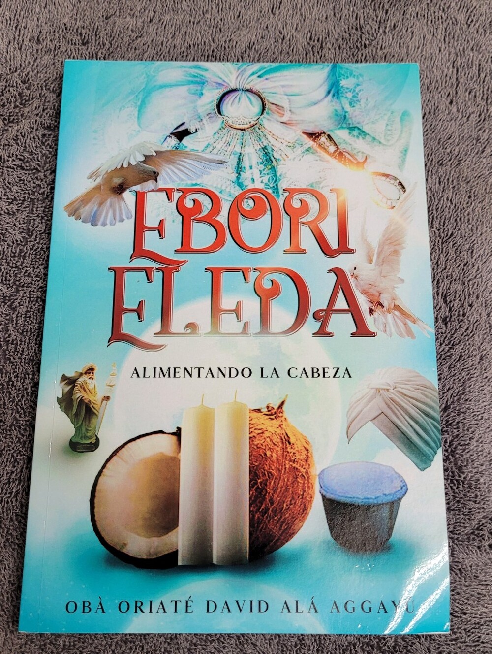 Ebori Eledá: Alimentando la Cabeza Spanish Book Tapa Blanda